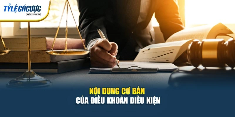 Nội dung cơ bản của điều khoản điều kiện