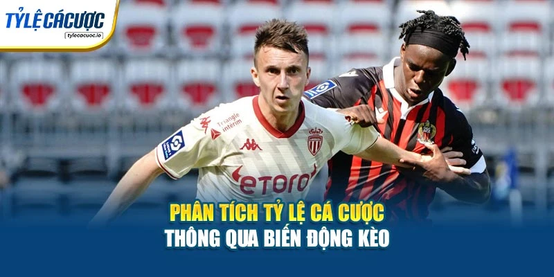 Phân tích tỷ lệ cá cược thông qua biến động kèo