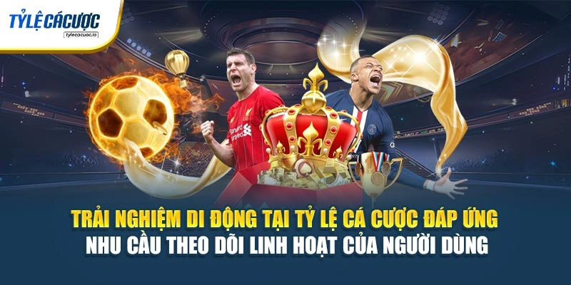 Trải nghiệm di động tại Tỷ Lệ Cá Cược đáp ứng nhu cầu theo dõi linh hoạt của người dùng