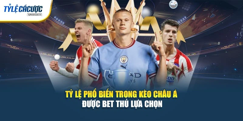 Tỷ lệ phổ biến trong kèo châu Á được bet thủ lựa chọn
