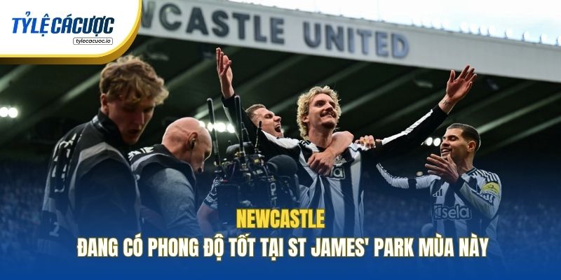 Newcastle đang có phong độ tốt tại St James' Park mùa này