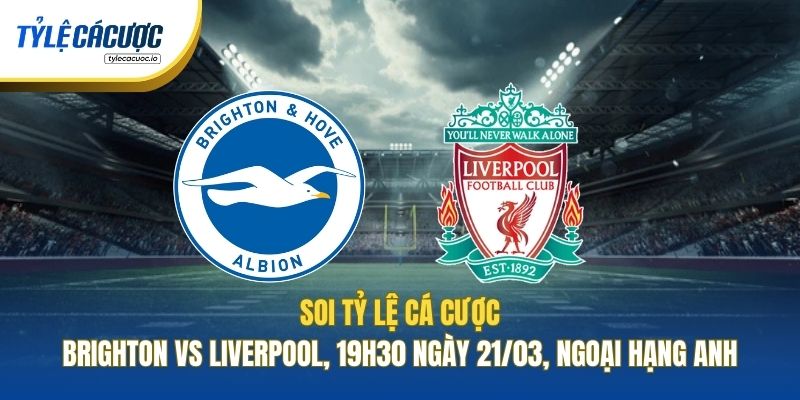 Soi Tỷ Lệ Cá Cược Brighton Vs Liverpool, 19h30 Ngày 21/03, Ngoại Hạng Anh