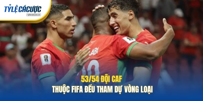 53/54 đội CAF thuộc FIFA đều tham dự vòng loại