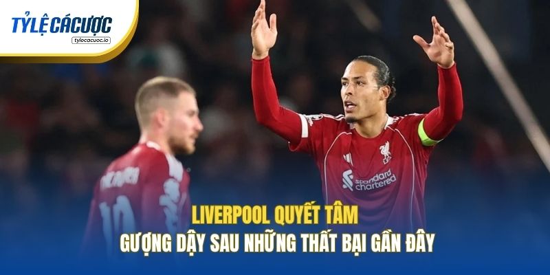 Liverpool quyết tâm gượng dậy sau những thất bại gần đây