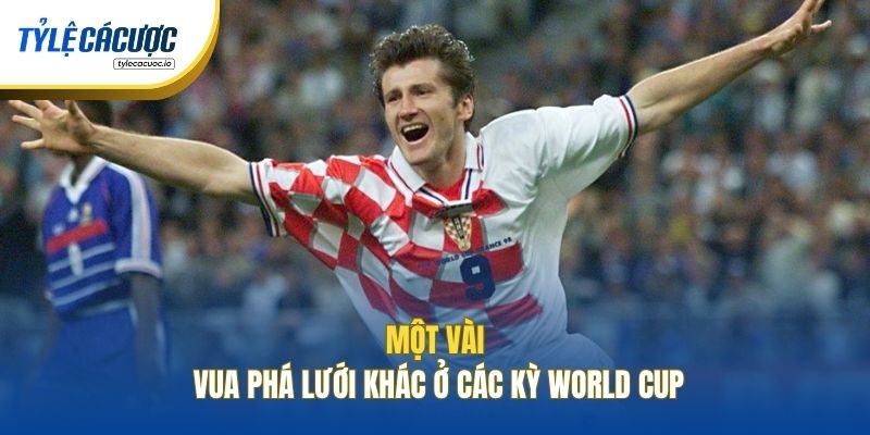 Một vài vua phá lưới khác ở các kỳ World Cup