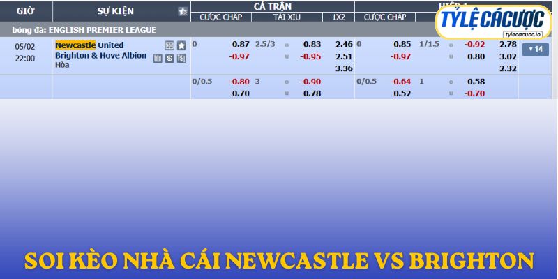 Soi kèo nhà cái Newcastle vs Brighton – gợi ý chốt cược