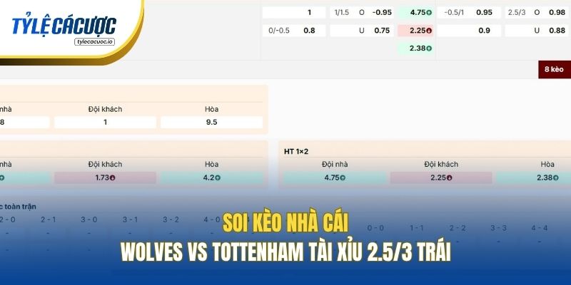 Soi kèo nhà cái Wolves vs Tottenham Tài Xỉu 2.5/3 trái