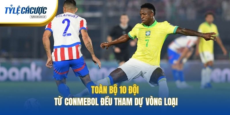 Toàn bộ 10 đội từ CONMEBOL đều tham dự vòng loại