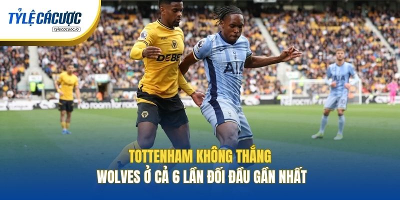 Tottenham không thắng Wolves ở cả 6 lần đối đầu gần nhất