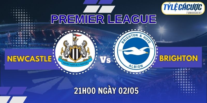 Soi Kèo Tỷ Lệ Cá Cược Newcastle Vs Brighton, 21h00 Ngày 02/05 - Vòng 35 Ngoại Hạng Anh