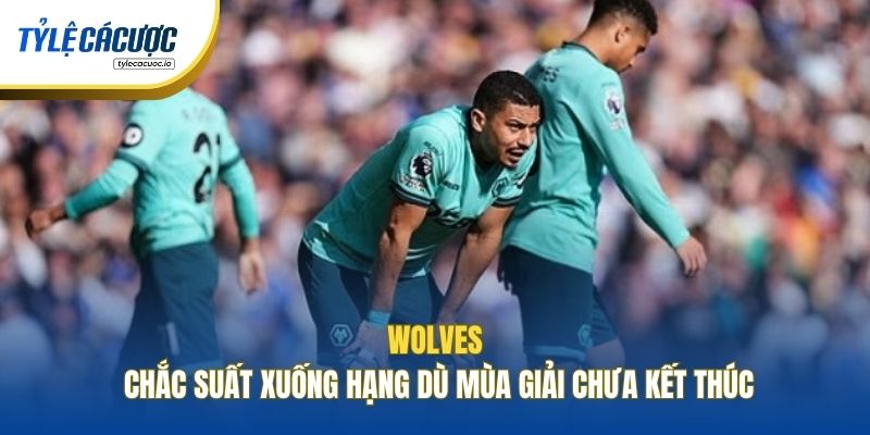 Wolves chắc suất xuống hạng dù mùa giải chưa kết thúc